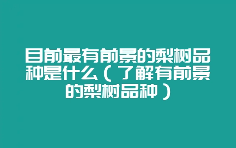 目前最有前景的梨树品种是什么（了解有前景的梨树品种）-会东网