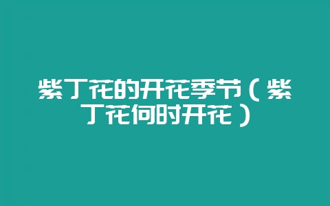 紫丁花的开花季节（紫丁花何时开花）-会东网
