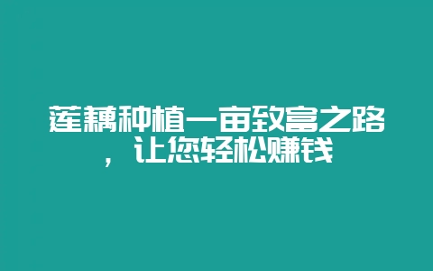 莲藕种植一亩致富之路，让您轻松赚钱-会东网