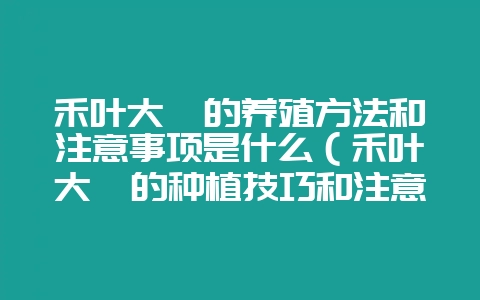 禾叶大戟的养殖方法和注意事项是什么（禾叶大戟的种植技巧和注意-会东网