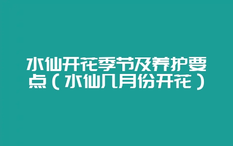 水仙开花季节及养护要点（水仙几月份开花）-会东网