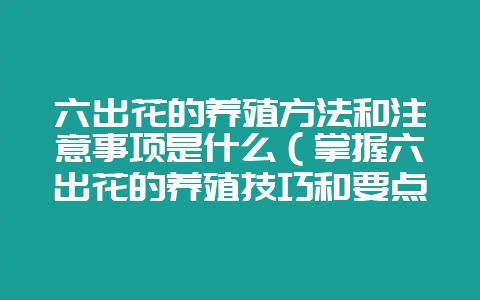 六出花的养殖方法和注意事项是什么（掌握六出花的养殖技巧和要点-会东网