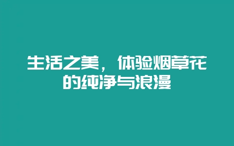 生活之美，体验烟草花的纯净与浪漫-会东网