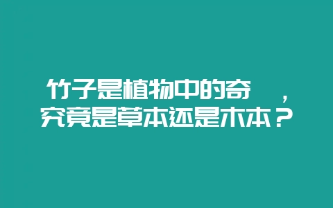 竹子是植物中的奇葩，究竟是草本还是木本？-会东网