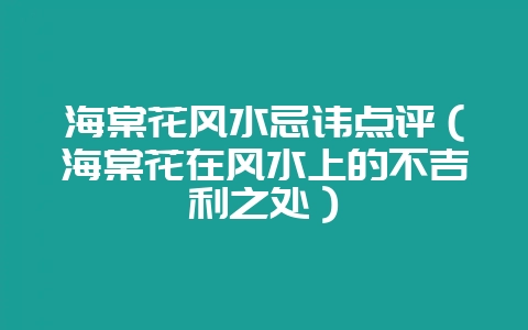 海棠花风水忌讳点评（海棠花在风水上的不吉利之处）-会东网