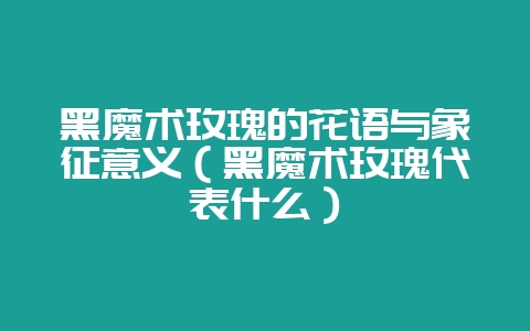 黑魔术玫瑰的花语与象征意义（黑魔术玫瑰代表什么）-会东网