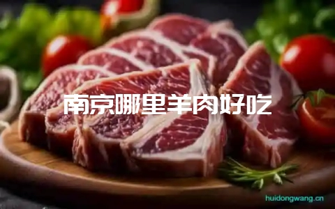 南京哪里羊肉好吃-会东网