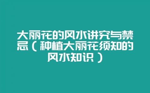 大丽花的风水讲究与禁忌(种植大丽花须知的风水知识)插图 大丽花的风水讲究与禁忌(种植大丽花须知的风水知识)插图