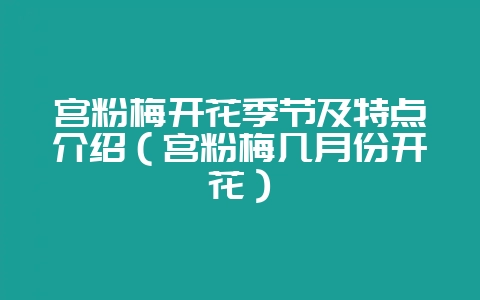 宫粉梅开花季节及特点介绍（宫粉梅几月份开花）-会东网