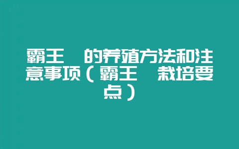 霸王蕨的养殖方法和注意事项(霸王蕨栽培要点)-会东网