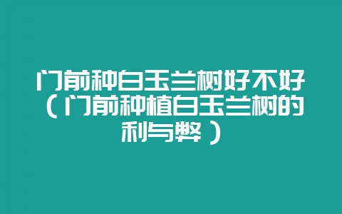 门前种白玉兰树好不好（门前种植白玉兰树的利与弊）-会东网