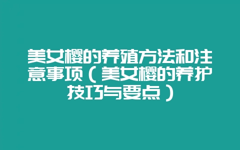 美女樱的养殖方法和注意事项（美女樱的养护技巧与要点）-会东网