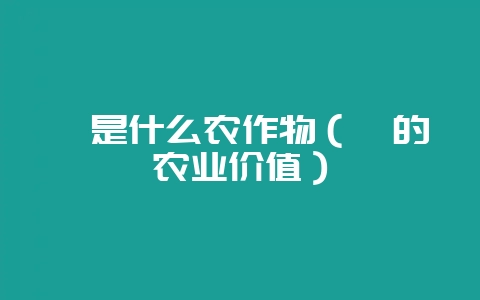 稷是什么农作物（稷的农业价值）-会东网