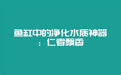 鱼缸中的净化水质神器：仁者飘香-会东网