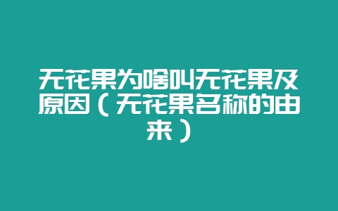 无花果为啥叫无花果及原因（无花果名称的由来）-会东网