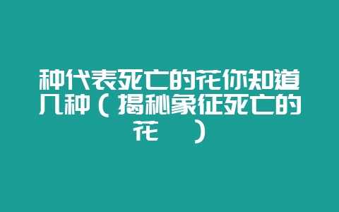种代表死亡的花你知道几种（揭秘象征死亡的花卉）-会东网