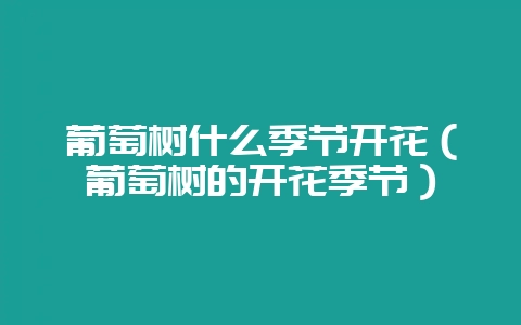 葡萄树什么季节开花（葡萄树的开花季节）-会东网