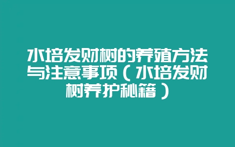 水培发财树的养殖方法与注意事项（水培发财树养护秘籍）-会东网