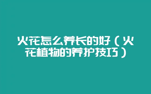 火花怎么养长的好（火花植物的养护技巧）-会东网