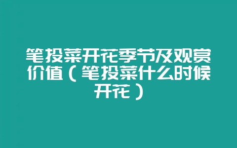 笔头菜开花季节及观赏价值(笔头菜什么时候开花)-会东网