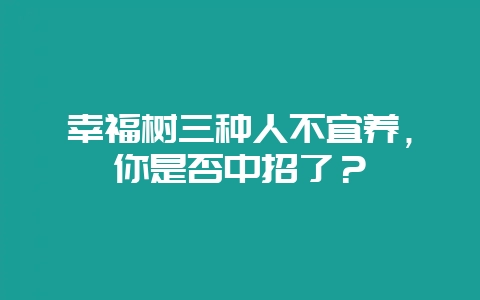 幸福树三种人不宜养,你是否中招了?插图 幸福树三种人不宜养,你是否中招了?插图