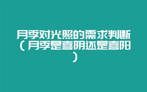 月季对光照的需求判断（月季是喜阴还是喜阳）-会东网