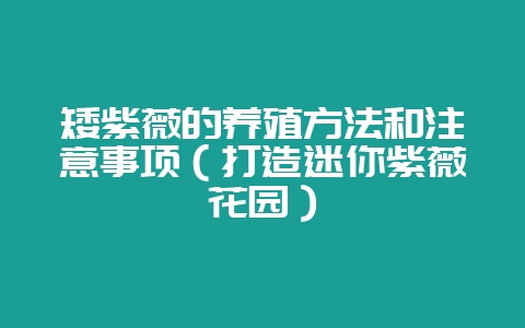 矮紫薇的养殖方法和注意事项(打造迷你紫薇花园)-会东网