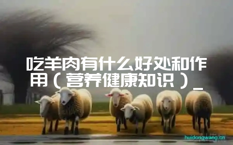 吃羊肉有什么好处和作用（营养健康知识）_-会东网
