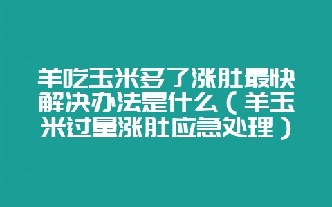 羊吃玉米多了涨肚最快解决办法是什么（羊玉米过量涨肚应急处理）-会东网