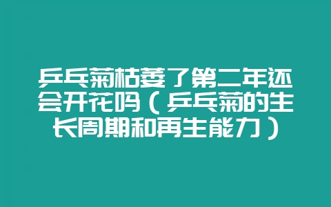 乒乓菊枯萎了第二年还会开花吗(乒乓菊的生长周期和再生能力)插图 乒乓菊枯萎了第二年还会开花吗(乒乓菊的生长周期和再生能力)插图