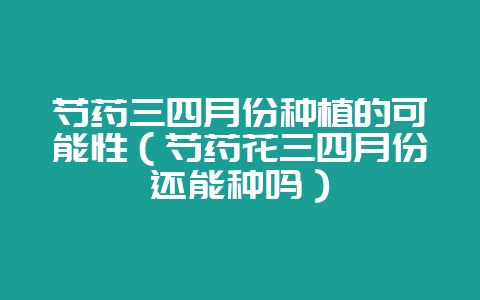 芍药三四月份种植的可能性（芍药花三四月份还能种吗）-会东网