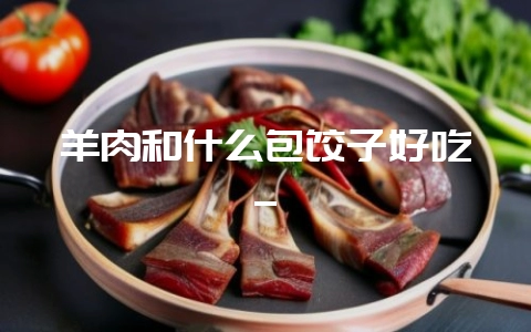 羊肉和什么包饺子好吃_-会东网