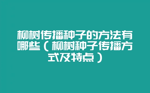 柳树传播种子的方法有哪些（柳树种子传播方式及特点）-会东网