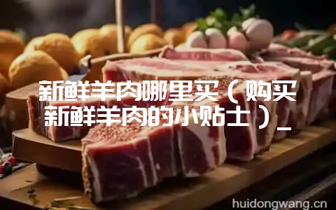 新鲜羊肉哪里买（购买新鲜羊肉的小贴士）_-会东网