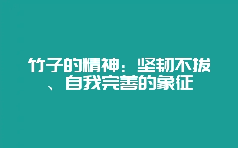 竹子的精神:坚韧不拔、自我完善的象征插图 竹子的精神:坚韧不拔、自我完善的象征插图