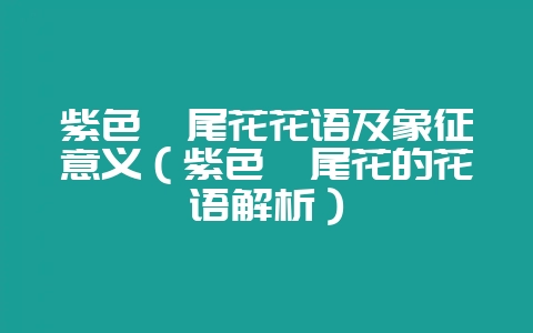 紫色鸢尾花花语及象征意义（紫色鸢尾花的花语解析）-会东网