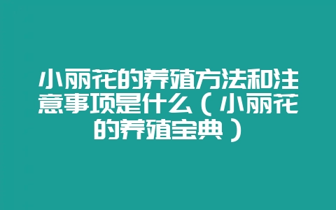小丽花的养殖方法和注意事项是什么（小丽花的养殖宝典）-会东网
