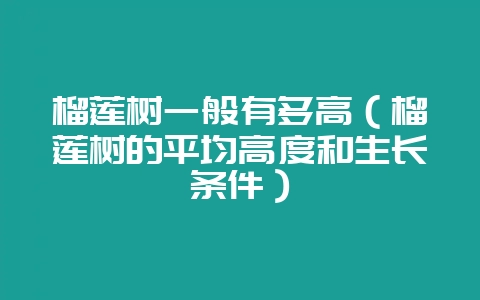 榴莲树一般有多高(榴莲树的平均高度和生长条件)插图 榴莲树一般有多高(榴莲树的平均高度和生长条件)插图