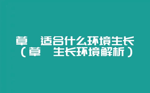 草莓适合什么环境生长（草莓生长环境解析）-会东网