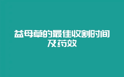 益母草的最佳收割时间及药效-会东网