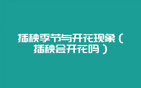 插秧季节与开花现象（插秧会开花吗）-会东网