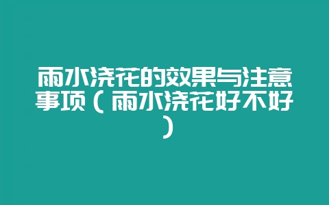 雨水浇花的效果与注意事项(雨水浇花好不好)-会东网
