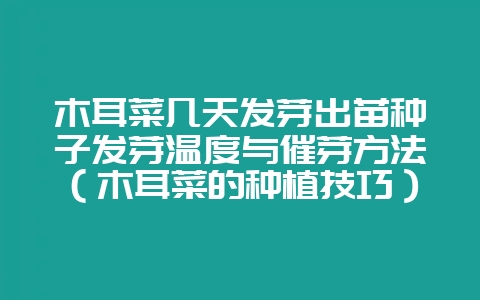 木耳菜几天发芽出苗种子发芽温度与催芽方法（木耳菜的种植技巧）-会东网
