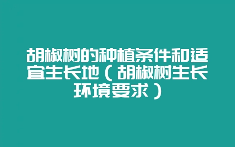 胡椒树的种植条件和适宜生长地（胡椒树生长环境要求）-会东网