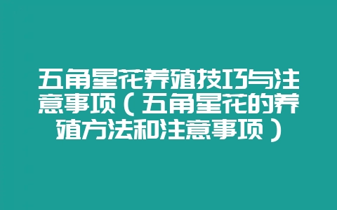 五角星花养殖技巧与注意事项（五角星花的养殖方法和注意事项）-会东网