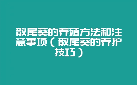 散尾葵的养殖方法和注意事项（散尾葵的养护技巧）-会东网