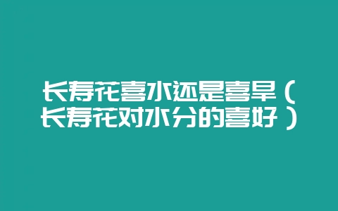 长寿花喜水还是喜旱（长寿花对水分的喜好）-会东网