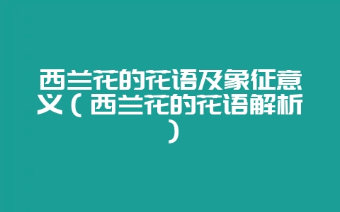 西兰花的花语及象征意义（西兰花的花语解析）-会东网