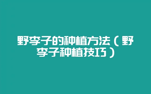 野李子的种植方法（野李子种植技巧）-会东网
