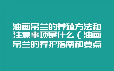 油画吊兰的养殖方法和注意事项是什么（油画吊兰的养护指南和要点-会东网